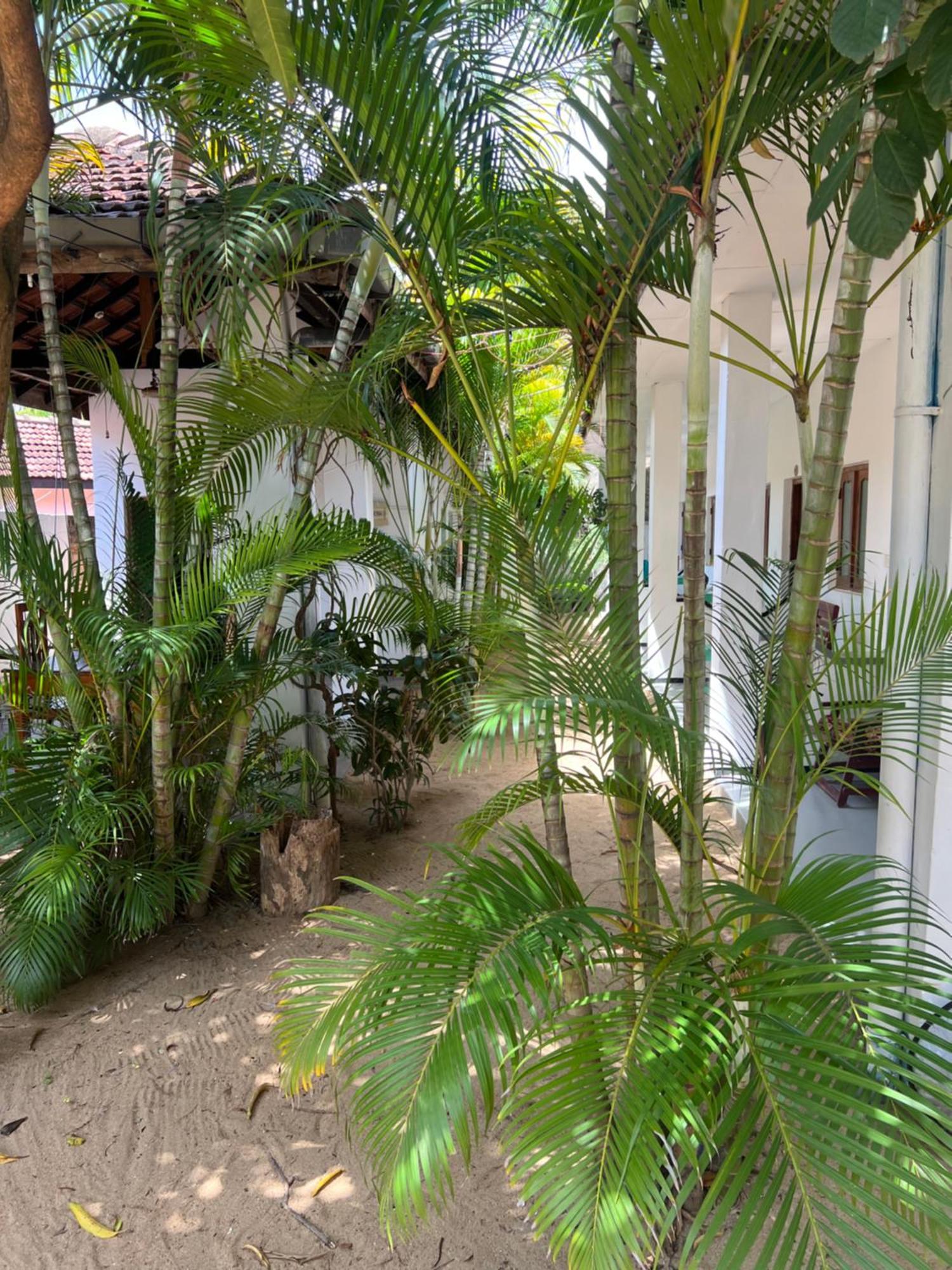 Moxy Bay Arugambay Hotell Arugam Kudah Eksteriør bilde