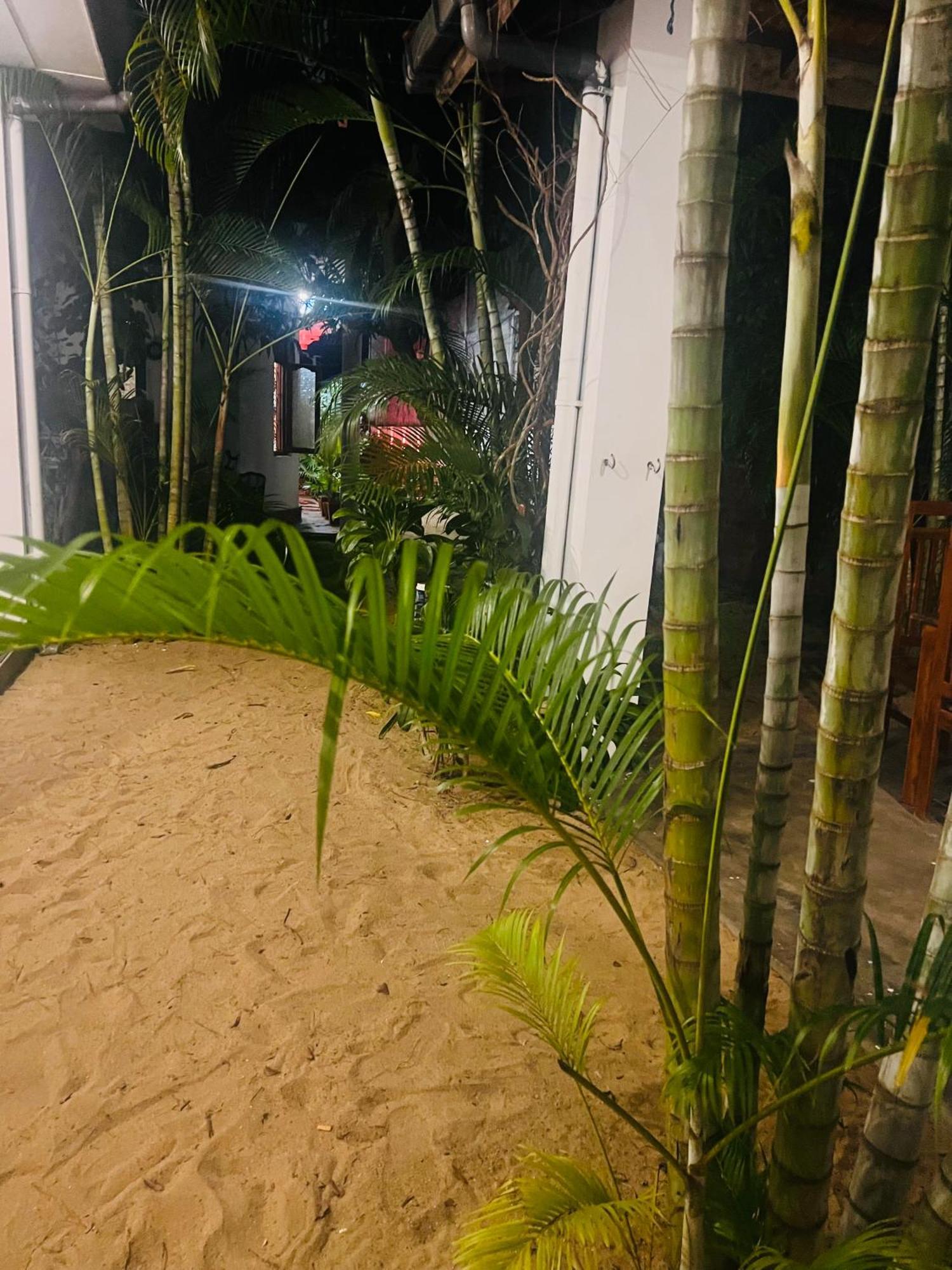 Moxy Bay Arugambay Hotell Arugam Kudah Eksteriør bilde
