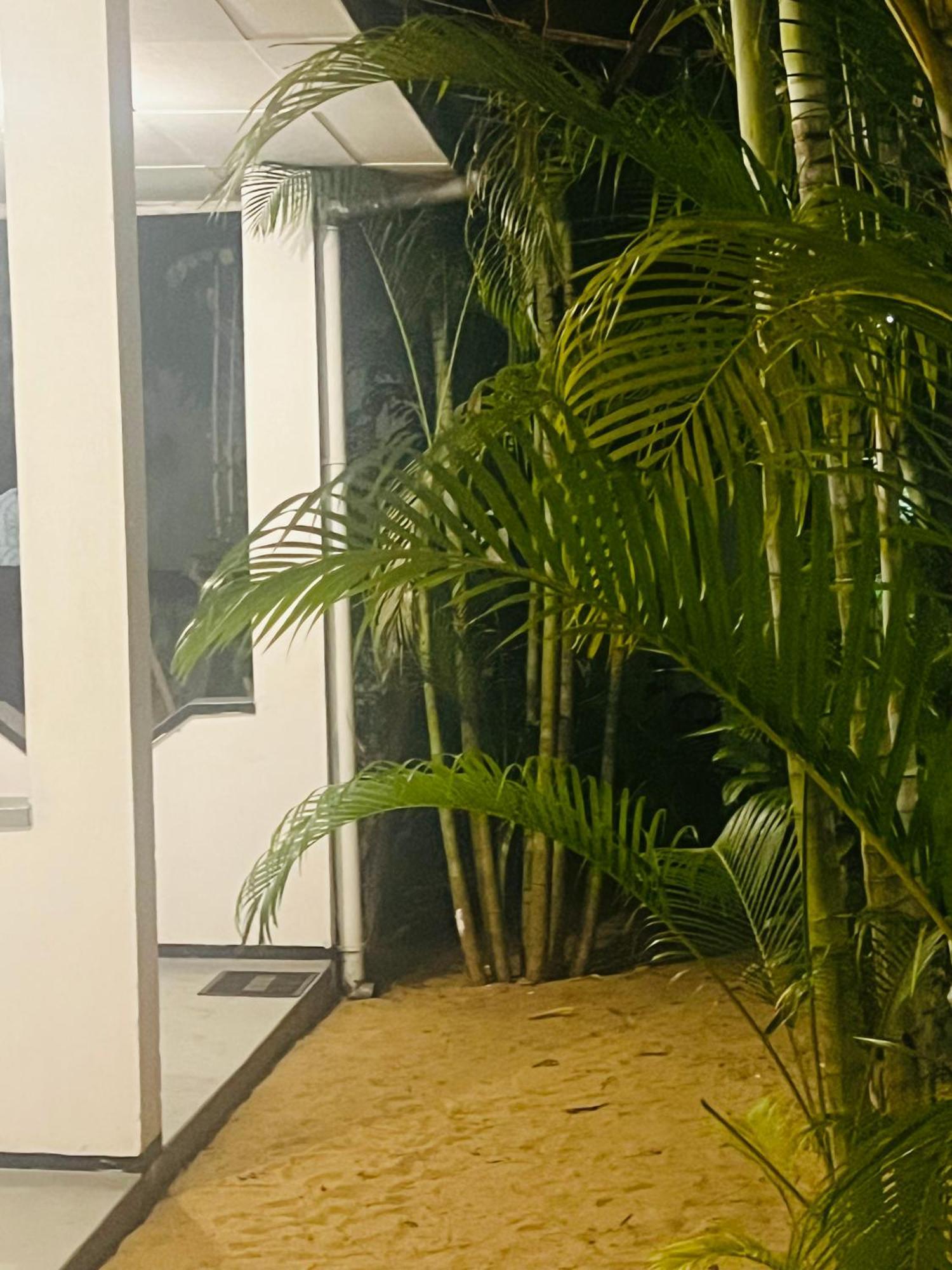 Moxy Bay Arugambay Hotell Arugam Kudah Eksteriør bilde